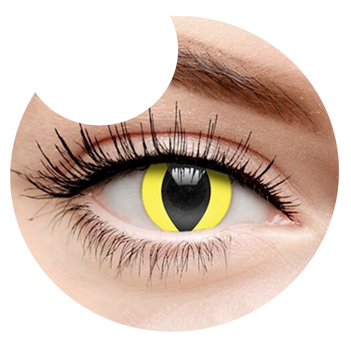 Primer plano del ojo con los pupilentes Amarillo Gato de Optioutlet puestos