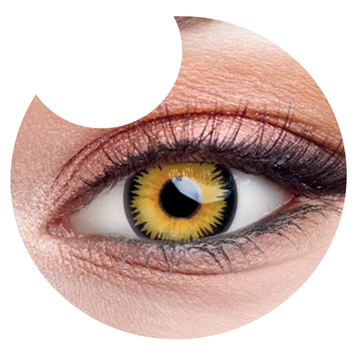 Primer plano del ojo con los pupilentes Amarillo Vampiro de Optioutlet puestos