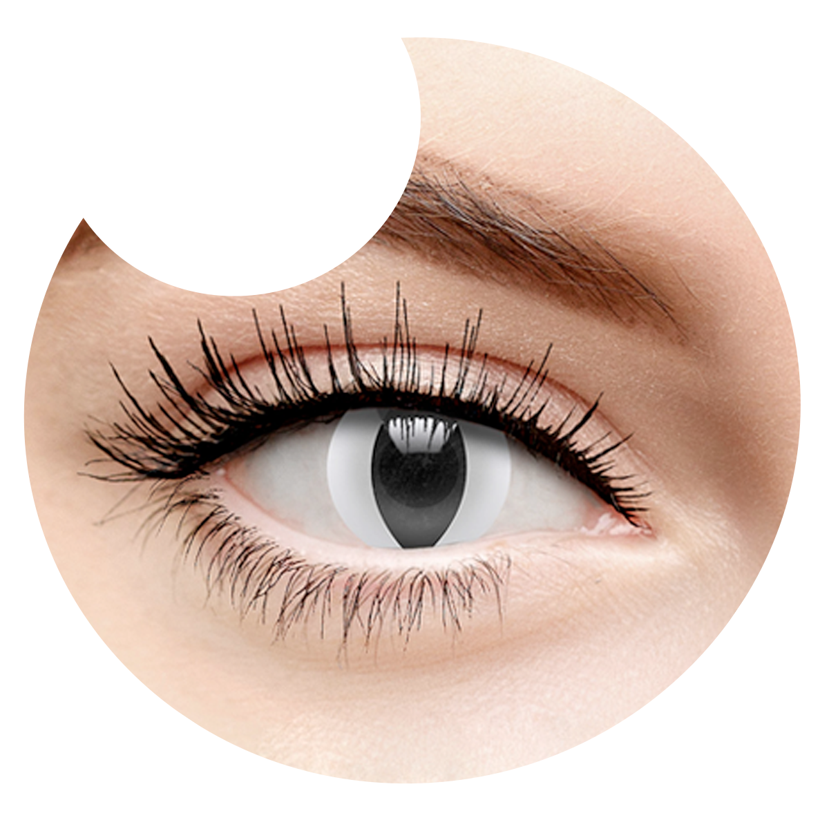 Primer plano del ojo con los pupilentes Blanco Gato de Optioutlet puestos